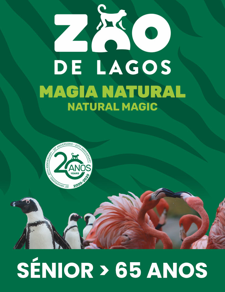 Bilhetes Zoo de Lagos